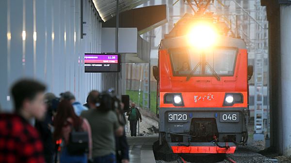 В Тамбовской области остановили два пассажирских поезда из-за работы правоохранителей